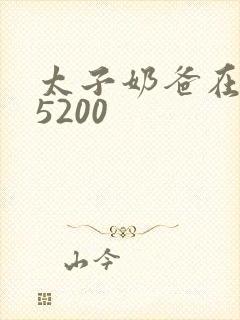 太子奶爸在花都5200