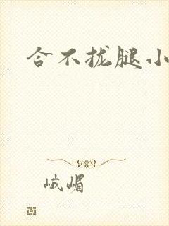 合不拢腿小说