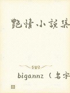 艳情小说集封面