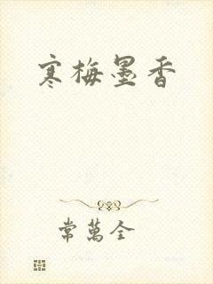 寒梅墨香封面