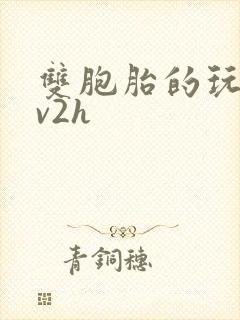 双胞胎的玩具1v2h封面