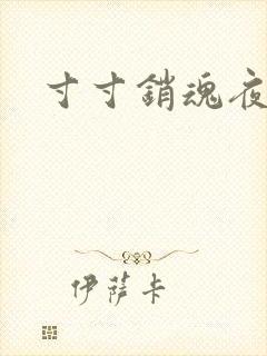 寸寸销魂夜春光