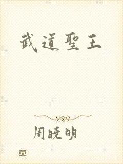 武道圣王
