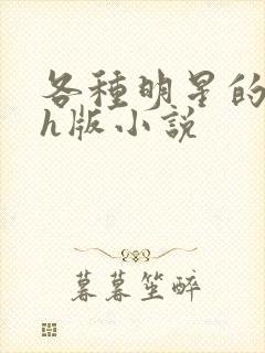 各种明星的综艺h版小说