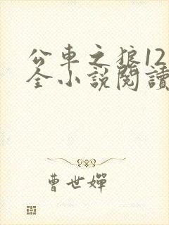 公车之狼12集全小说阅读