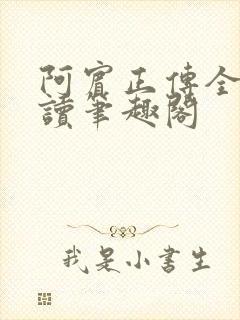 阿宾正传全文阅读笔趣阁