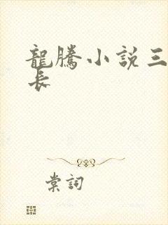 龙腾小说三宝局长