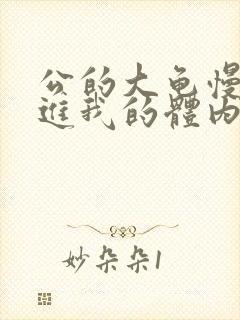 公的大龟慢慢挺进我的体内