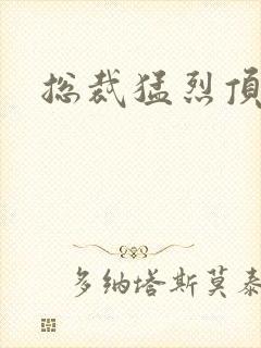 总裁猛烈顶弄h封面