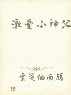 激爱小神父