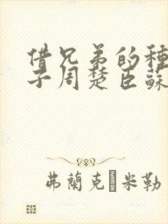 借兄弟的种生孩子周楚臣苏糖