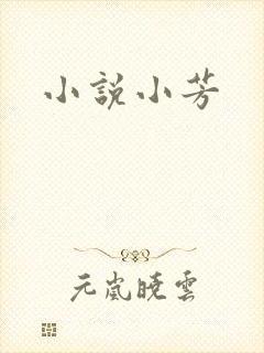 小说小芳封面