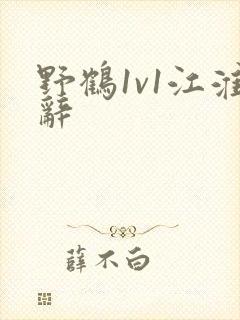 野鹤1v1江淮辞封面