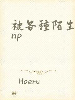 被各种陌生人 np