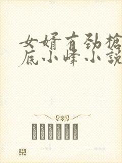 女婿有劲枪枪到底小峰小说