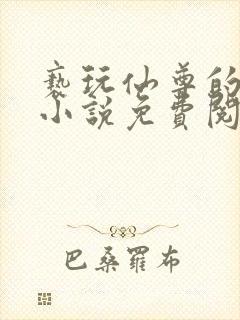 亵玩仙尊的道侣小说免费阅读