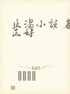 止渴小说 春光正好封面