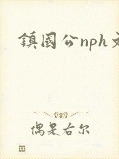 镇国公nph文