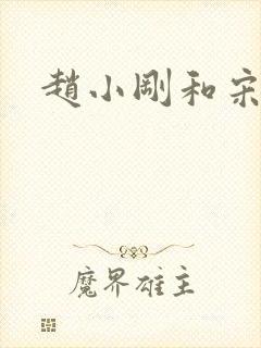 赵小刚和宋雨晴封面