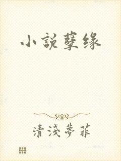 小说孽缘