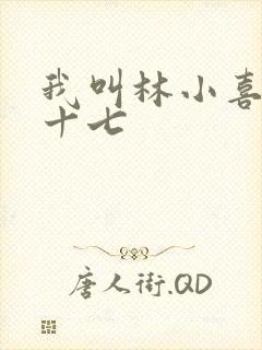 我叫林小喜今年十七