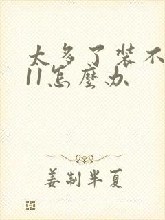 太多了装不下h11怎么办封面