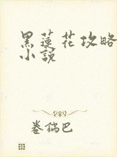 黑莲花攻略手册小说封面