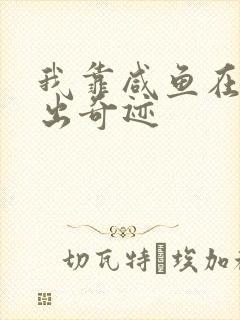 我靠咸鱼在虐文出奇迹