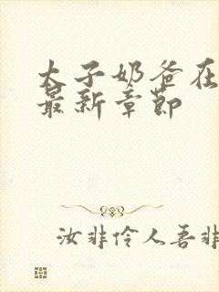 太子奶爸在花都最新章节封面