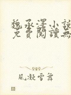 魏承泽小说全文免费阅读无弹窗笔趣