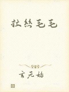 拉丝毛毛封面