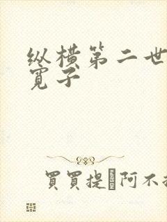 纵横第二世界 宽子封面