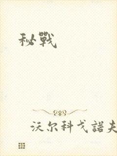 秘战
