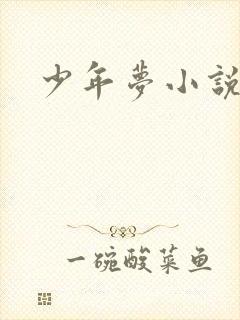 少年梦小说