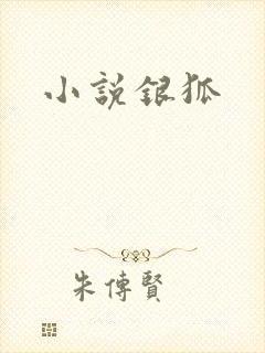 小说银狐