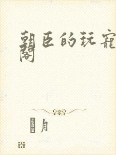 朝臣的玩宠笔趣阁