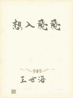 想入飞飞封面