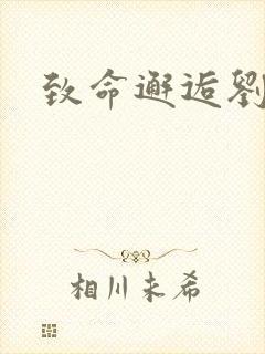 致命邂逅刘小寐