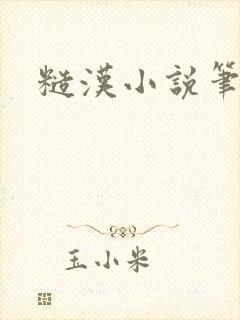 糙汉小说笔趣阁封面