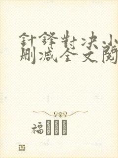 针锋对决小说未删减全文阅读