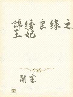 锦绣良缘之北地王妃封面