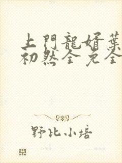 上门龙婿叶辰萧初然全免全集