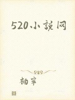 520小说网