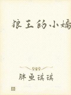 狼王的小娇妻