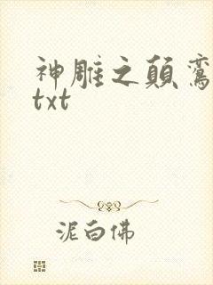 神雕之颠鸾倒凤txt