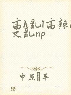 高h乱l高辣h文乱np