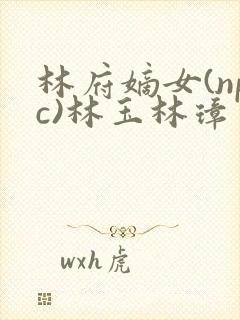 林府嫡女(npc)林玉林璋