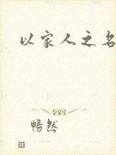以家人之名小说