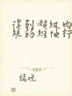 得到超级肉禽系统的维他柠檬茶