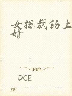 女总裁的上门女婿